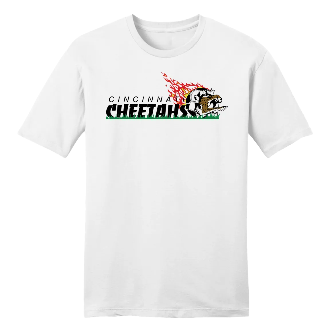 Cincinnati Cheetahs Soccer